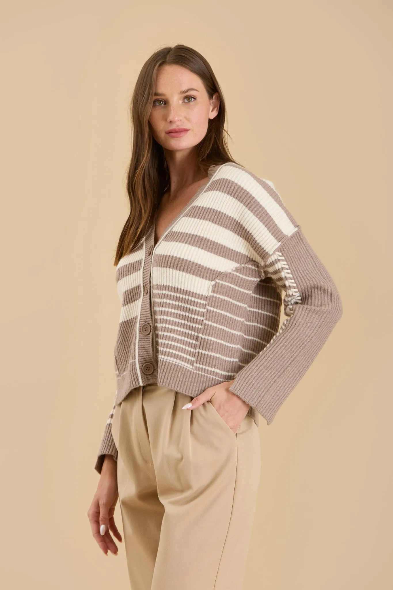 MULTI STRIPE BUTTON DOWN KNIT CARDIGAN